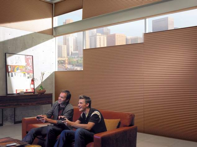 Hunter Douglas Duette® Architella® Honeycombs